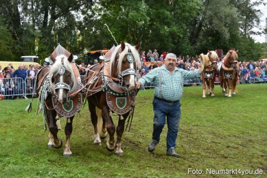 JURA-Volksfest-Pferdeshow-190819-0146