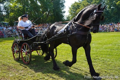 Pferde-und-Fohlenschau-JURA-Volksfest-2023-0141