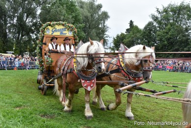 JURA-Volksfest-Pferdeshow-190819-0077