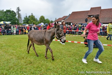 Eselrennen-Fruehlingsfest-2022-0113