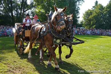 Pferde-und-Fohlenschau-JURA-Volksfest-2023-0123