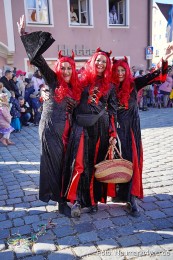 Faschingszug-Berching-2025-0264