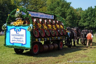Pferde-und-Fohlenschau-JURA-Volksfest-2023-0219