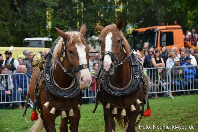 JURA-Volksfest-Pferdeshow-190819-0145