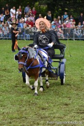 JURA-Volksfest-Pferdeshow-190819-0299