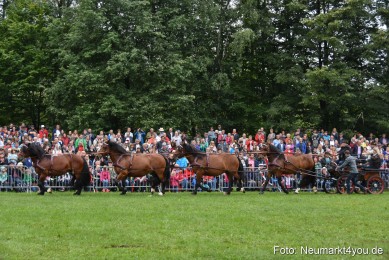 JURA-Volksfest-Pferdeshow-190819-0049