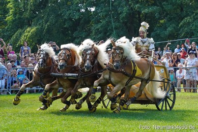 Pferde-und-Fohlenschau-JURA-Volksfest-2023-0171