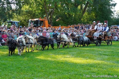 Pferde-und-Fohlenschau-JURA-Volksfest-2023-0045