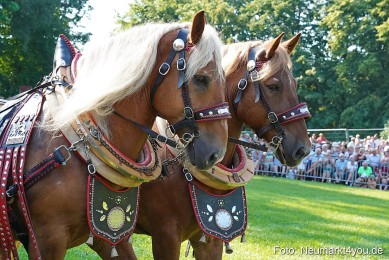 Pferde-und-Fohlenschau-JURA-Volksfest-2023-0071