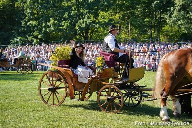 Pferde-und-Fohlenschau-2025-0090