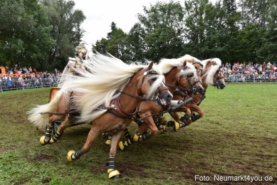 JURA-Volksfest-Pferdeshow-190819-0380