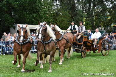 JURA-Volksfest-Pferdeshow-190819-0009