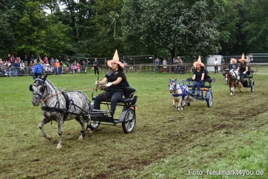 JURA-Volksfest-Pferdeshow-190819-0301