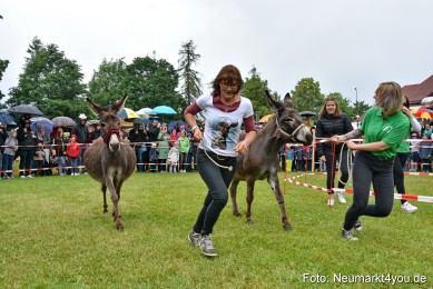 Eselrennen-Fruehlingsfest-2022-0050