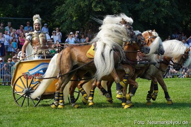 Pferde-und-Fohlenschau-JURA-Volksfest-2023-0163