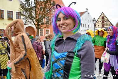 Faschingszug-Berching-2020-230220-0198