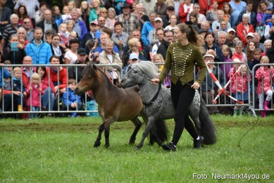 JURA-Volksfest-Pferdeshow-190819-0105
