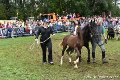 JURA-Volksfest-Pferdeshow-190819-0309