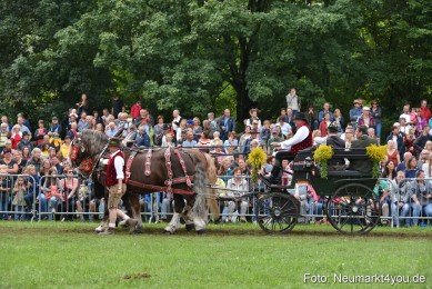JURA-Volksfest-Pferdeshow-190819-0351