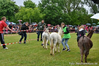 Eselrennen-Fruehlingsfest-2022-0017