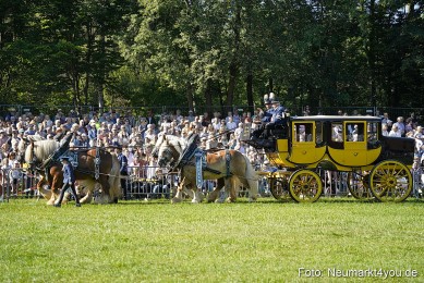 Pferde-und-Fohlenschau-2025-0055