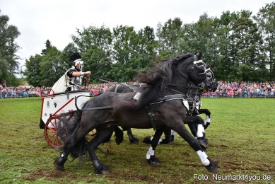 JURA-Volksfest-Pferdeshow-190819-0177