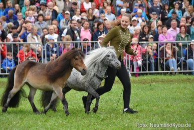 JURA-Volksfest-Pferdeshow-190819-0116