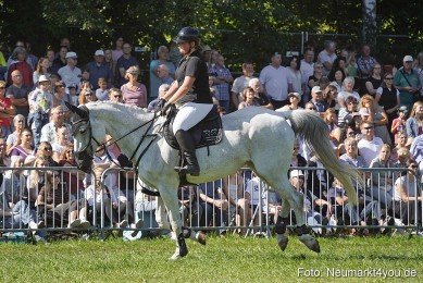 Pferde-und-Fohlenschau-2025-0133