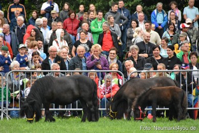 JURA-Volksfest-Pferdeshow-190819-0023