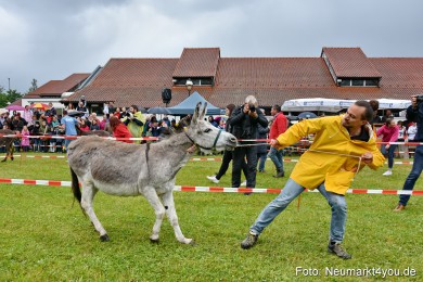 Eselrennen-Fruehlingsfest-2022-0129