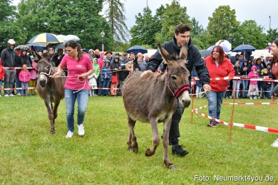 Eselrennen-Fruehlingsfest-2022-0111