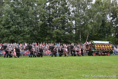JURA-Volksfest-Pferdeshow-190819-0051