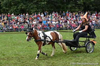 JURA-Volksfest-Pferdeshow-190819-0297