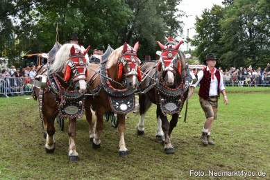 JURA-Volksfest-Pferdeshow-190819-0343