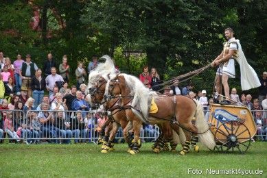 JURA-Volksfest-Pferdeshow-190819-0386