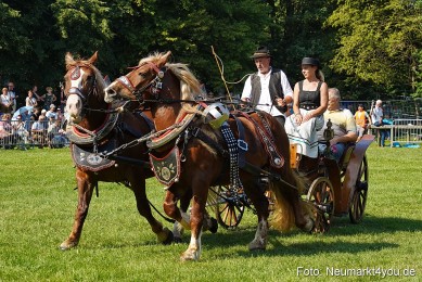 Pferde-und-Fohlenschau-JURA-Volksfest-2023-0128