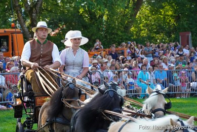 Pferde-und-Fohlenschau-JURA-Volksfest-2023-0047