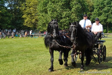 Pferde-und-Fohlenschau-JURA-Volksfest-2023-0137
