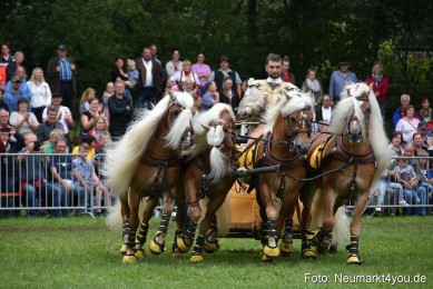 JURA-Volksfest-Pferdeshow-190819-0369
