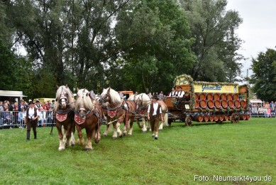 JURA-Volksfest-Pferdeshow-190819-0056