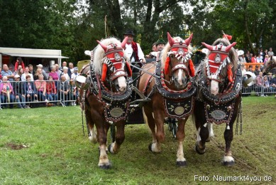 JURA-Volksfest-Pferdeshow-190819-0353