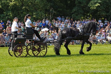 Pferde-und-Fohlenschau-JURA-Volksfest-2023-0145