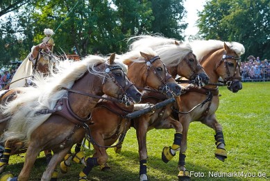 Pferde-und-Fohlenschau-JURA-Volksfest-2023-0170