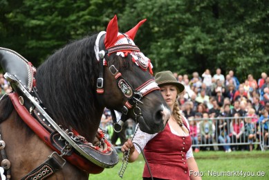 JURA-Volksfest-Pferdeshow-190819-0141