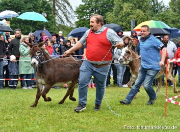 Eselrennen-Fruehlingsfest-2022-0096