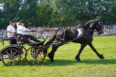 Pferde-und-Fohlenschau-JURA-Volksfest-2023-0150