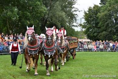 JURA-Volksfest-Pferdeshow-190819-0060
