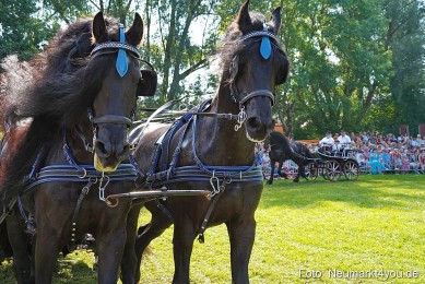 Pferde-und-Fohlenschau-JURA-Volksfest-2023-0142