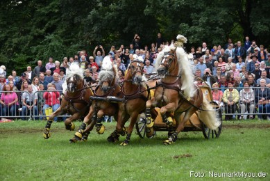JURA-Volksfest-Pferdeshow-190819-0372