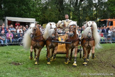 JURA-Volksfest-Pferdeshow-190819-0367
